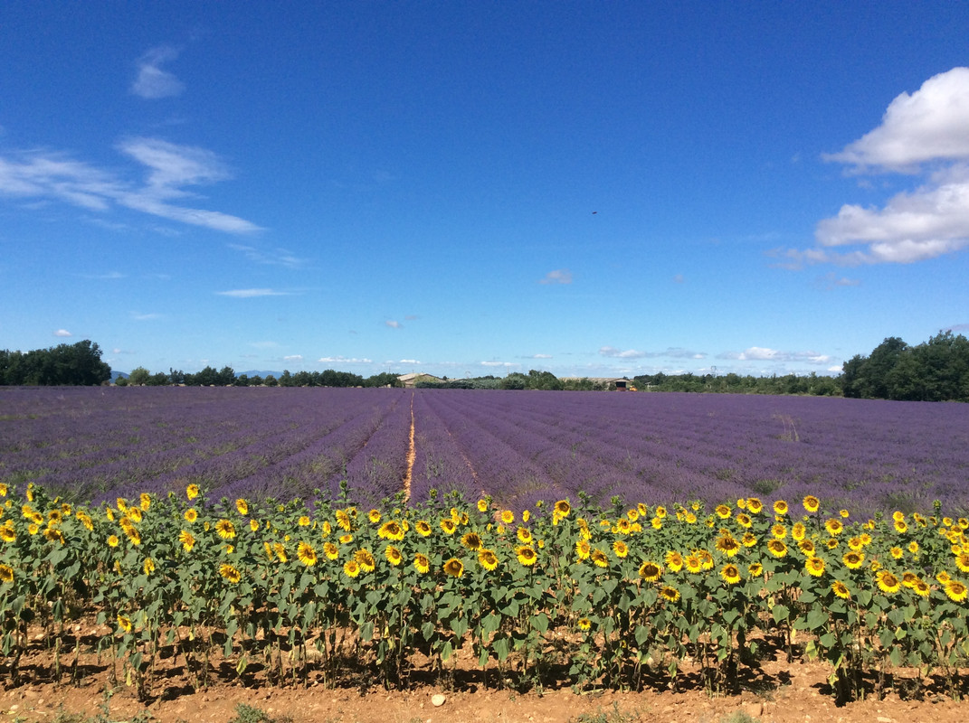 56932736-292F-40F0-80C0-6E4AF1134279