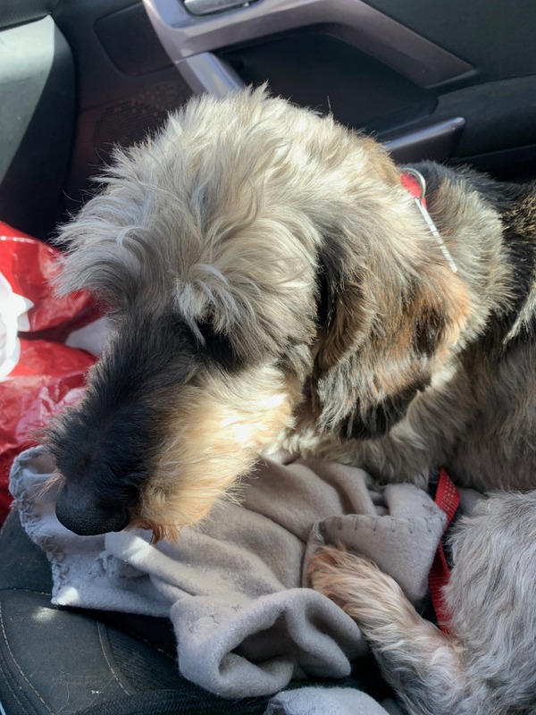 [Image: 64388015707-8492-F966-48-B4-4034-A23-E-7...-D4204.jpg]