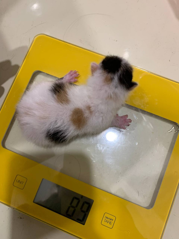 CC89F611-C252-4A2E-AD78-A3445A6A5865