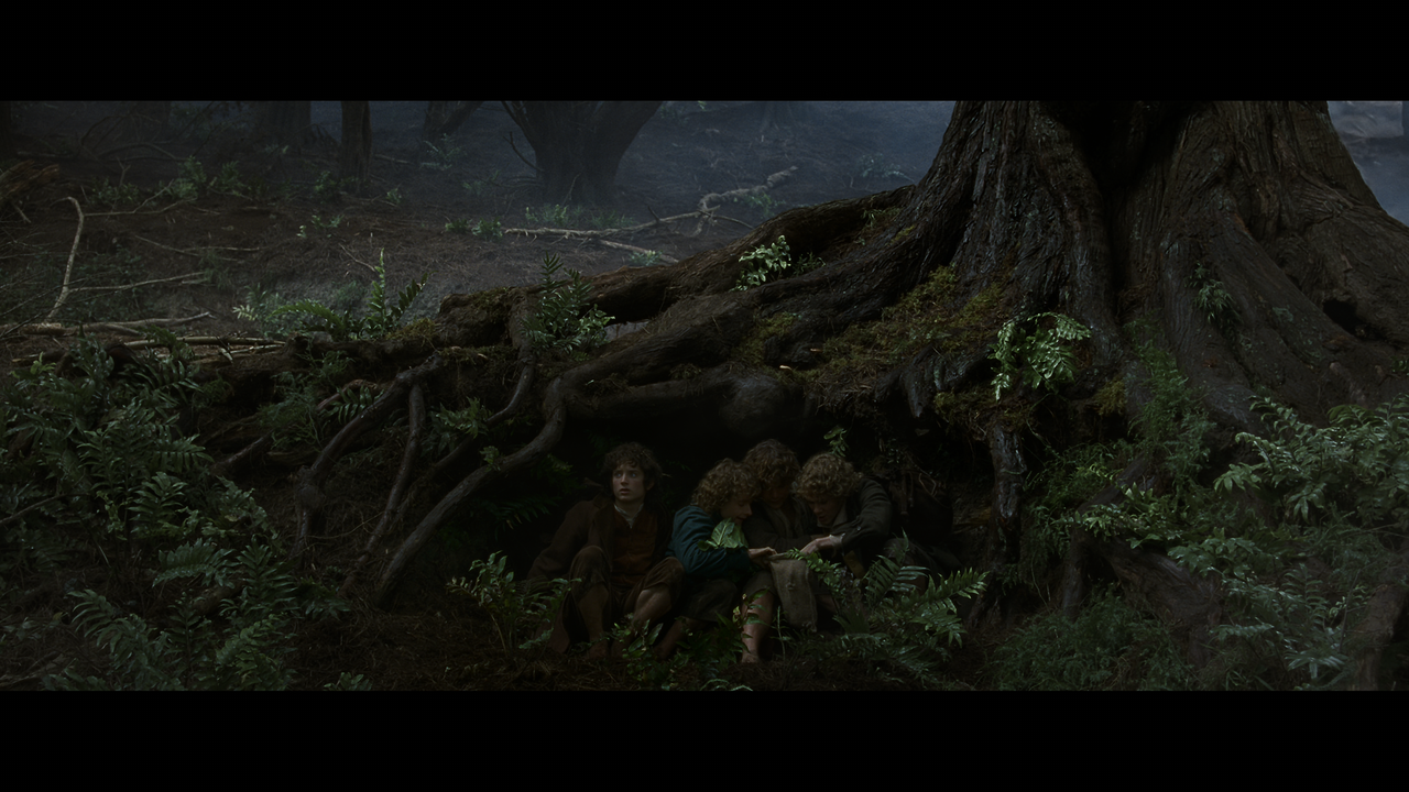 The Lord of the Rings- The Fellowship of the Ring (EXT.) PT. 1.mkv_snapshot_00.53.47_[2020.12.05_22.