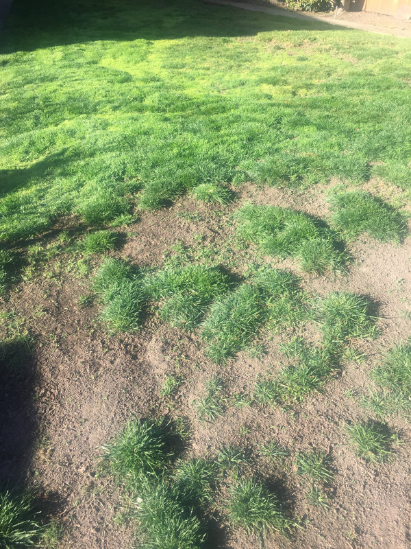 1FBA3AF8-46CA-4CDC-9C4E-D0DCC3AB5C54