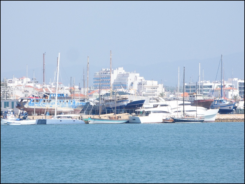 Arade-estuary-170625 (2)