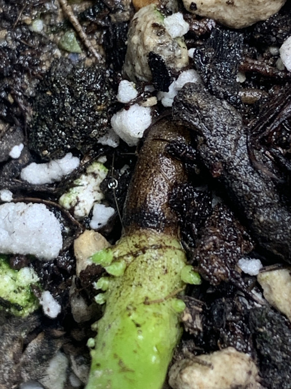 2A7B35F2-56A5-4643-B398-222CD0E9AAFB