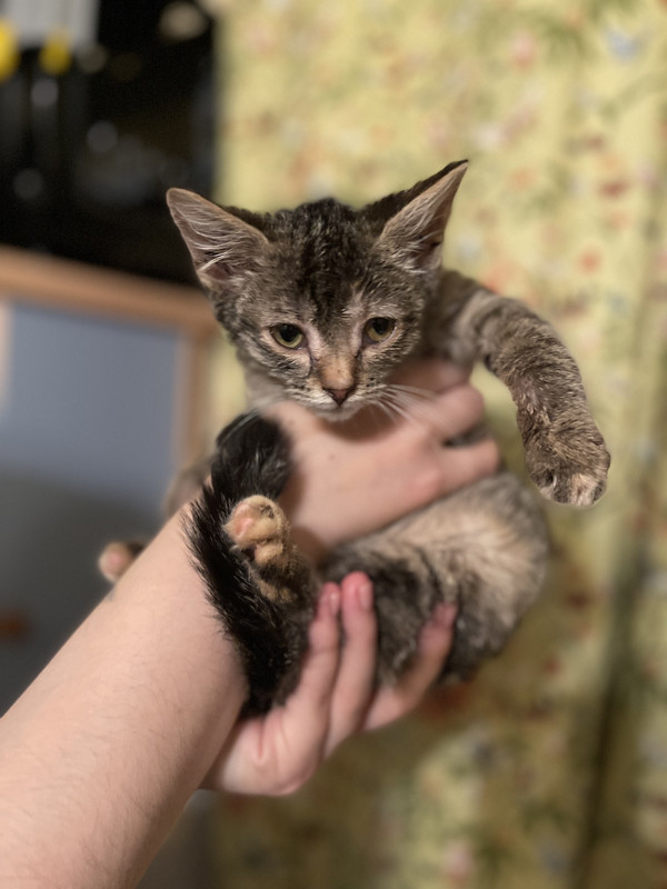 0208F5D5-2767-40CA-A28B-D9E892F332A6