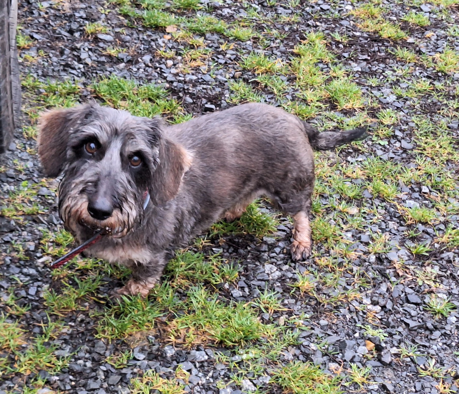 [Image: 20241215-164255.jpg]