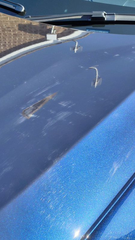Honda-ENY1-Bonnet-Marked2.jpg