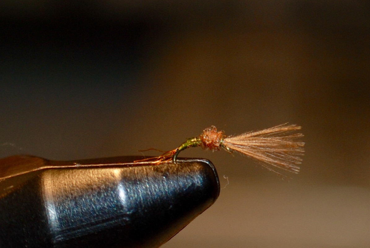 1C4949DD-3D0A-429E-973C-8284EC1855A5