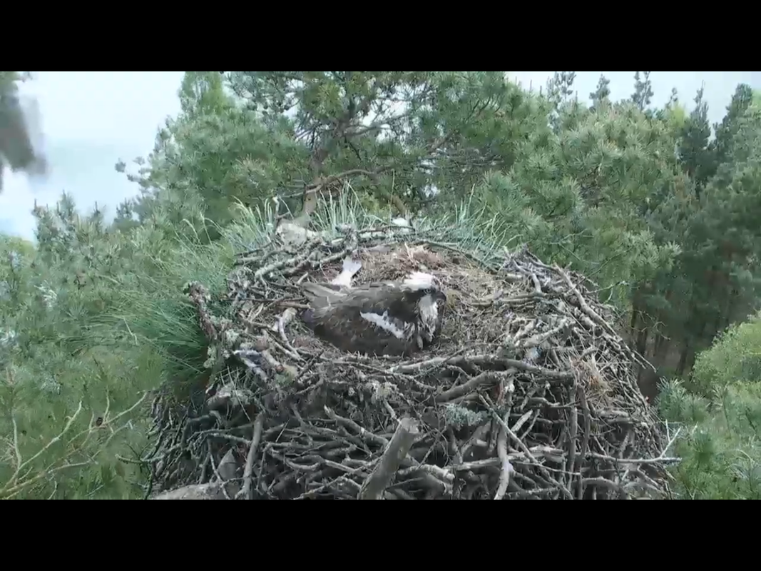 4FC4449B-3BF0-4054-B8FD-9D3CF2884E8B