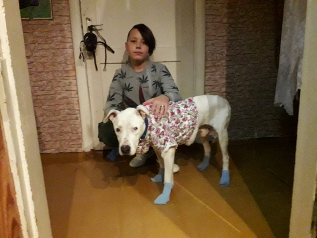 37637880-8194-4130-BC30-7384BC9C4B5C