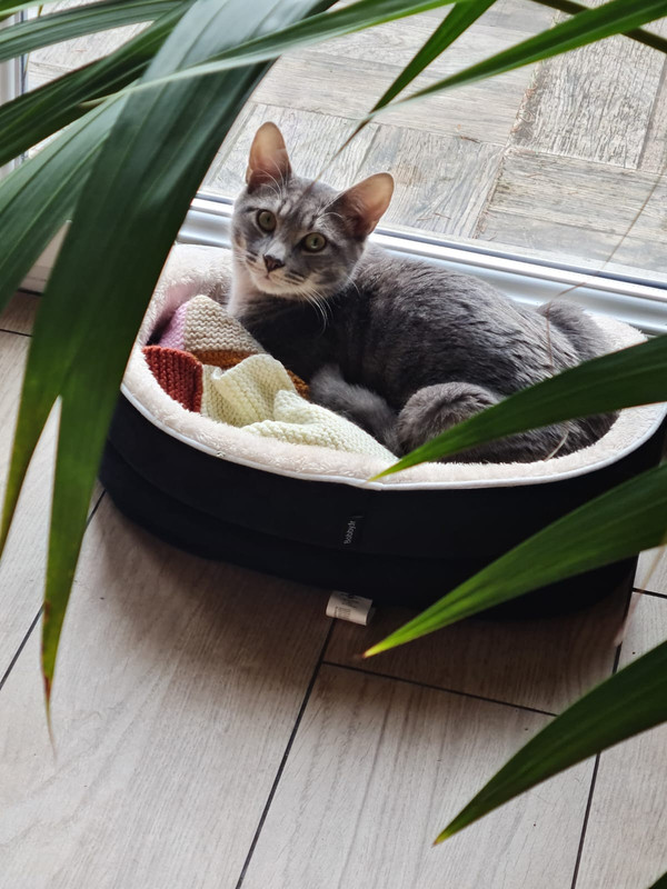 IMG-20221209-WA0002(1)