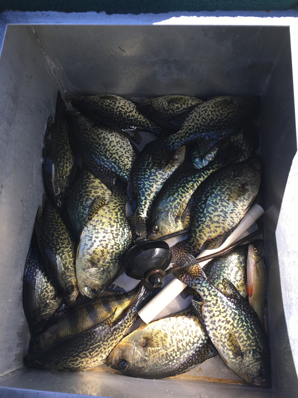 C79A947D-F446-40A1-88D4-86AC3B158B0A