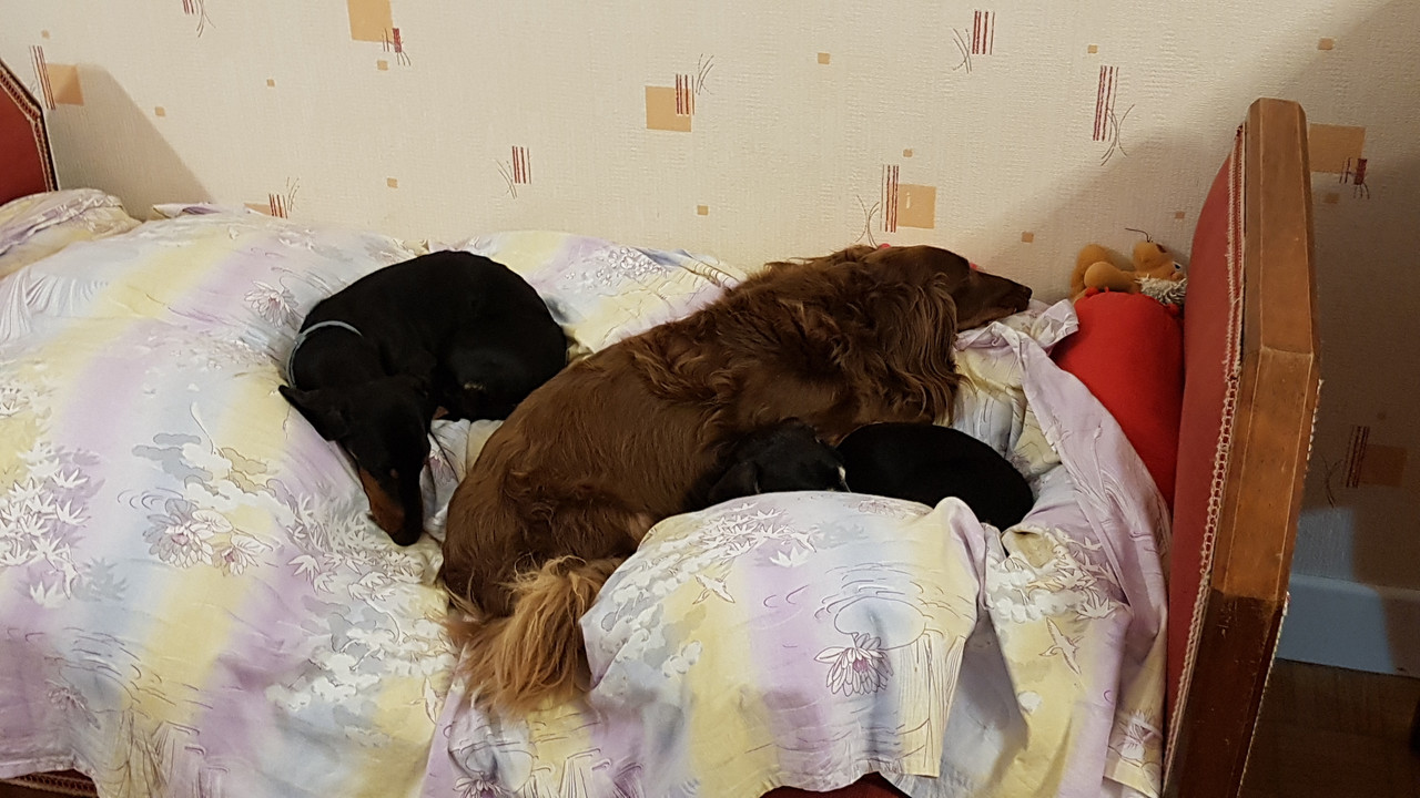 [Image: 20200920-200252.jpg]