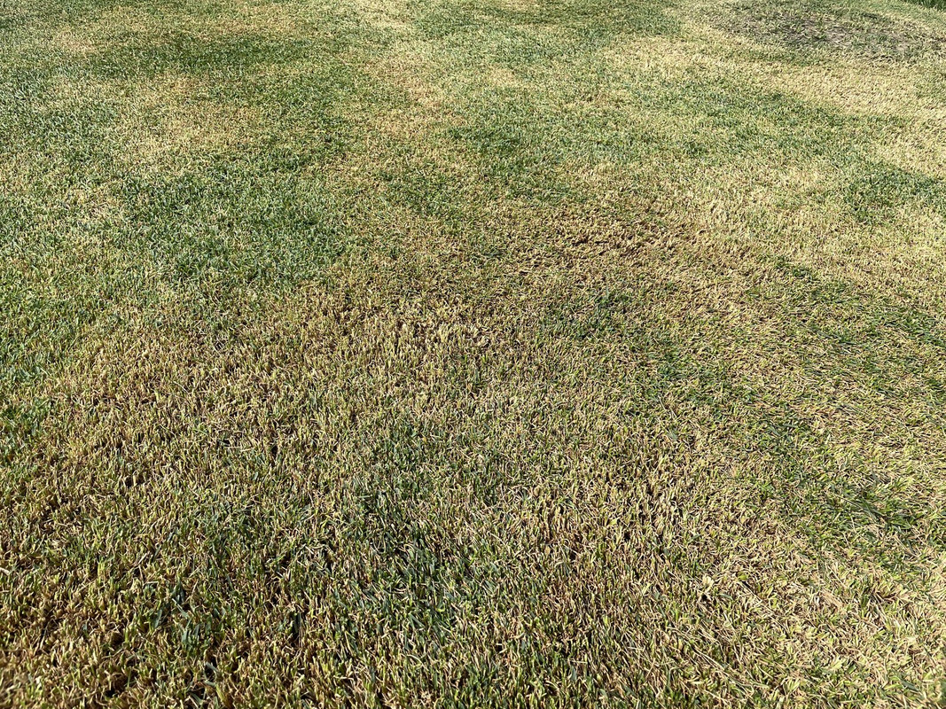 500339D8-30FB-48DB-80D2-0A03EAF2AA22