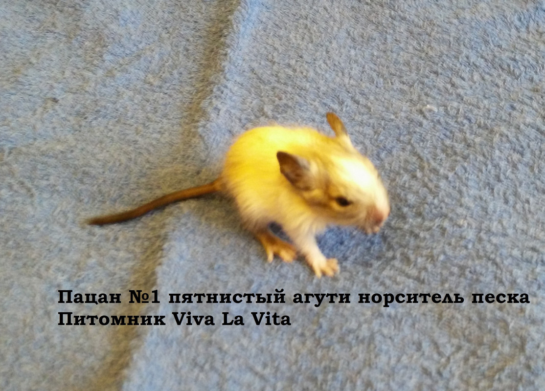 IMG_20160904_134957