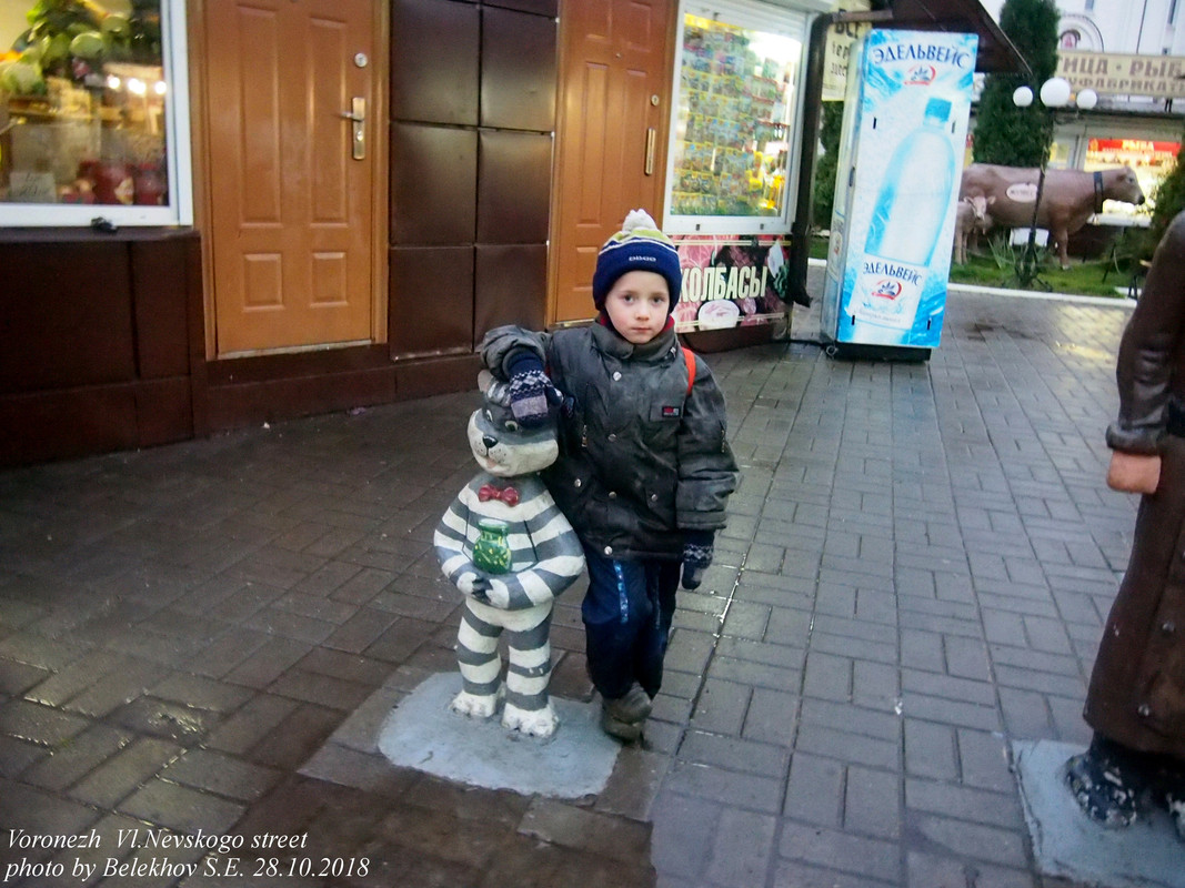 Воронеж, осень Воронеж, осень