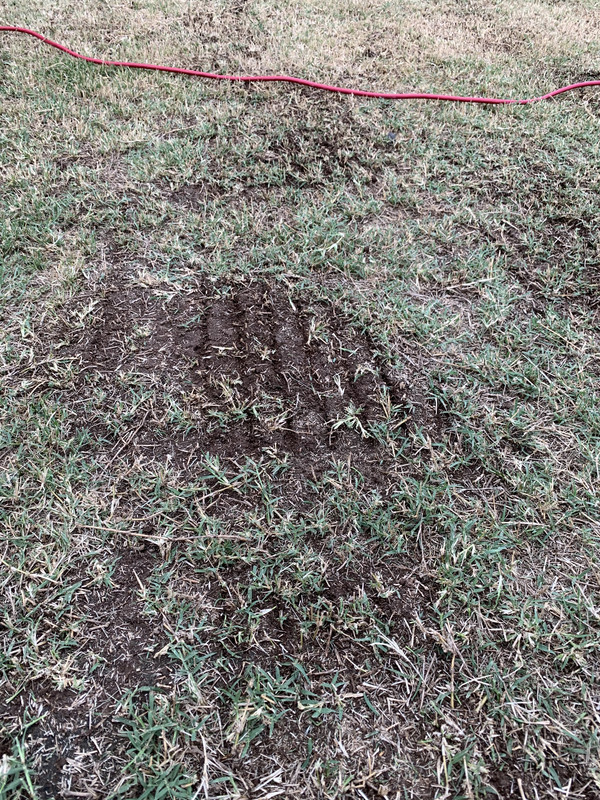 2C55F3D2-8725-4D78-90E1-21BE4EF42970