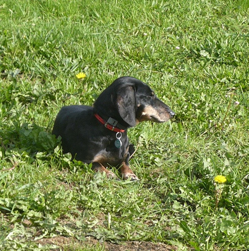 [Image: P1030955.jpg]