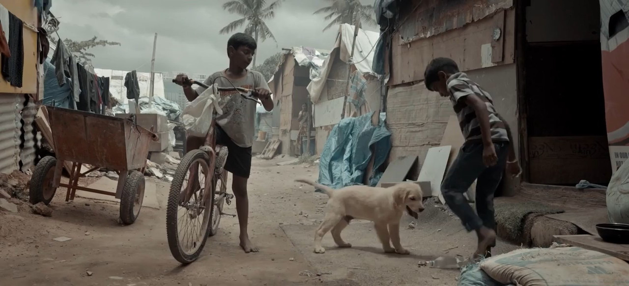 Puppy 2025 WebRip [Kannada] 480p 720p ESub Screenshot