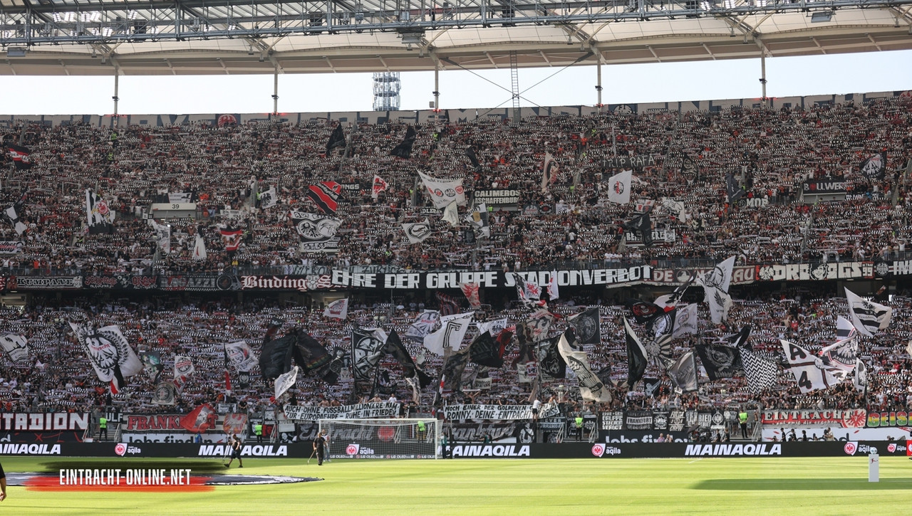 24-25-eintracht-frankfurt-tsg-hoffenheim-0004.jpg-nggid046997-ngg0dyn-1500x850x100-00f0w010c010r110f