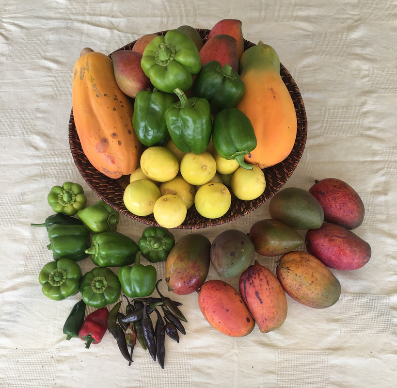 fruit basket