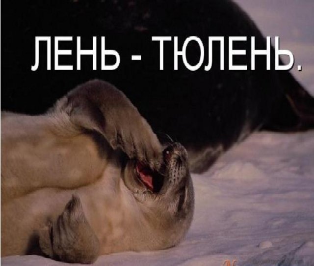 https://i.postimg.cc/jdrsRSXZ/peps1962.jpg
