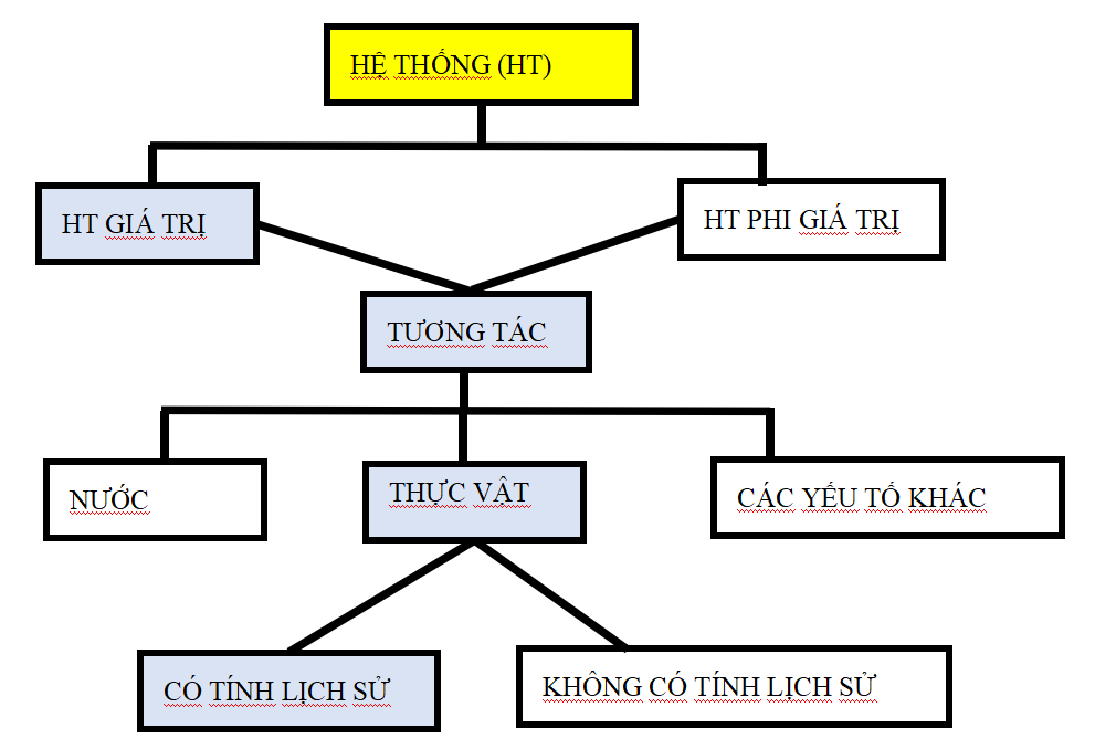 S? ĐỒ ĐỊNH NGHĨA