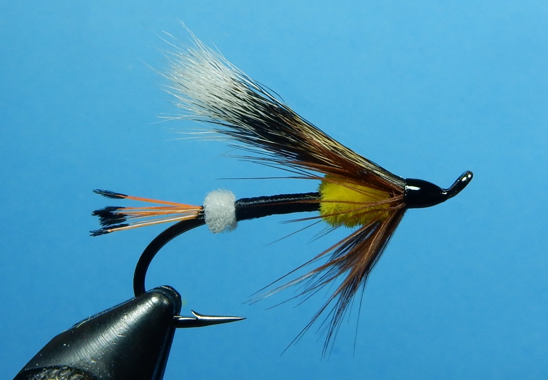 Stillaguamish_Belle_1080.jpg