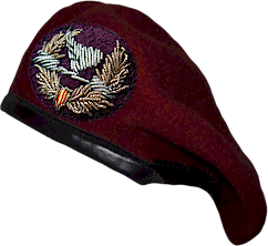 [Image: T242-HH-QLVNCH-BC-BDQ-1-Beret-Nau-242x222-Nghieng.png]