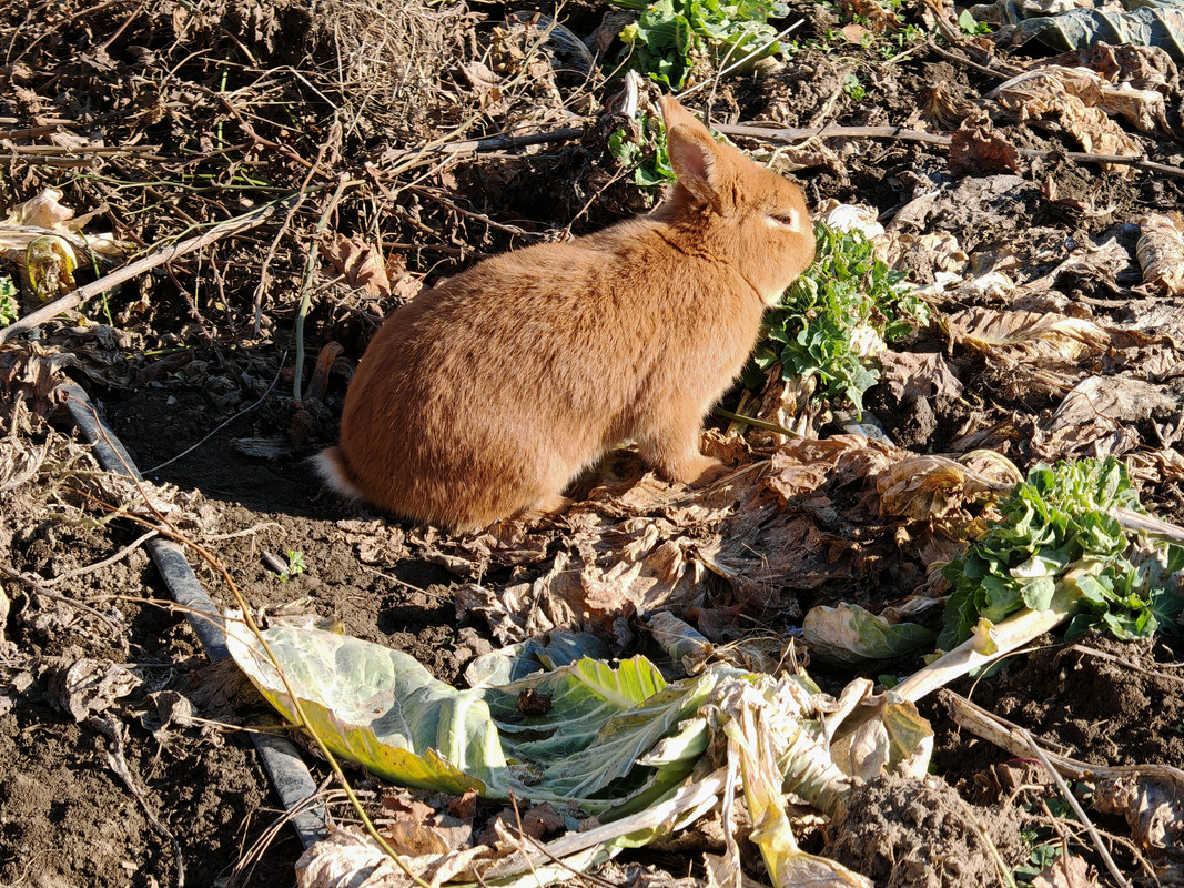 IMG 20260120 140802