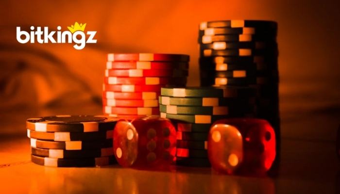 BitKingz Casino Spieler