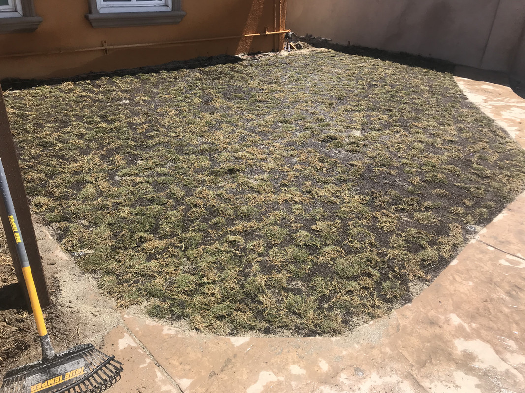 311CEDB2-F565-4BB9-A2C9-3E7264ED0833