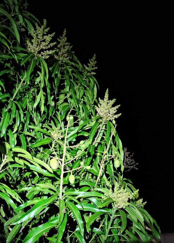 IMG 20260304 192302425 HDR 2