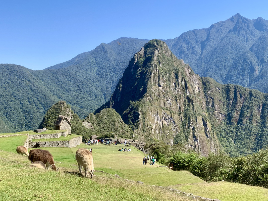 531D2CF5-0A68-4833-A0F6-0B828529CAF4