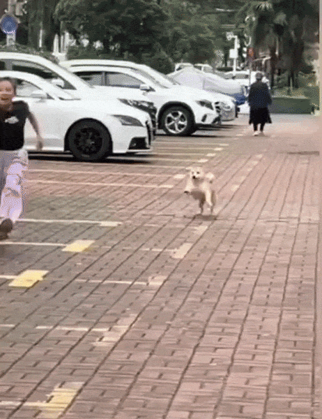 ezgif-51bc517c91bdf0cb.gif