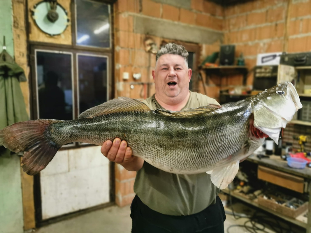 271989150_7650537004972327_699378194847130337_n