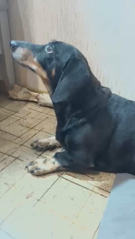 VID-20250705-WA0034(3)