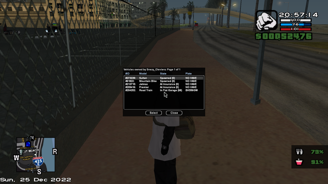samp-25-12-2022-20-57-15.png