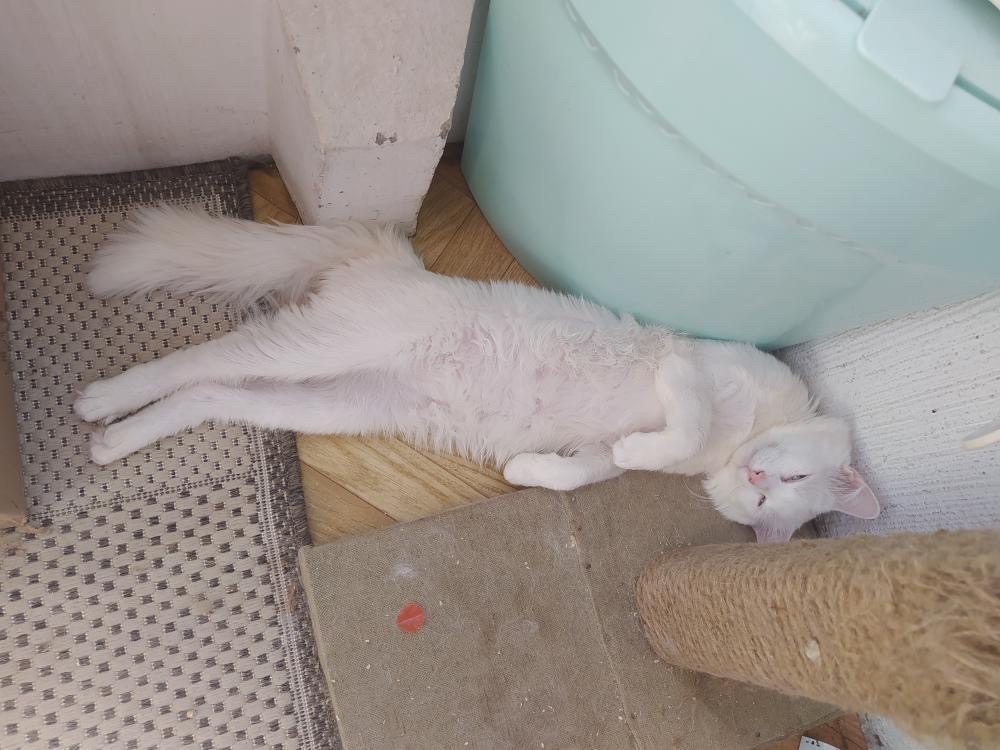 E1BC01C5-5F77-45F2-93D0-5728C92E9412