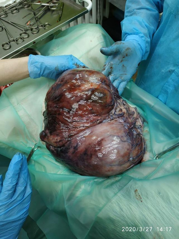 00F5F1CE-E3DB-4C83-B3F1-68CE647FC664