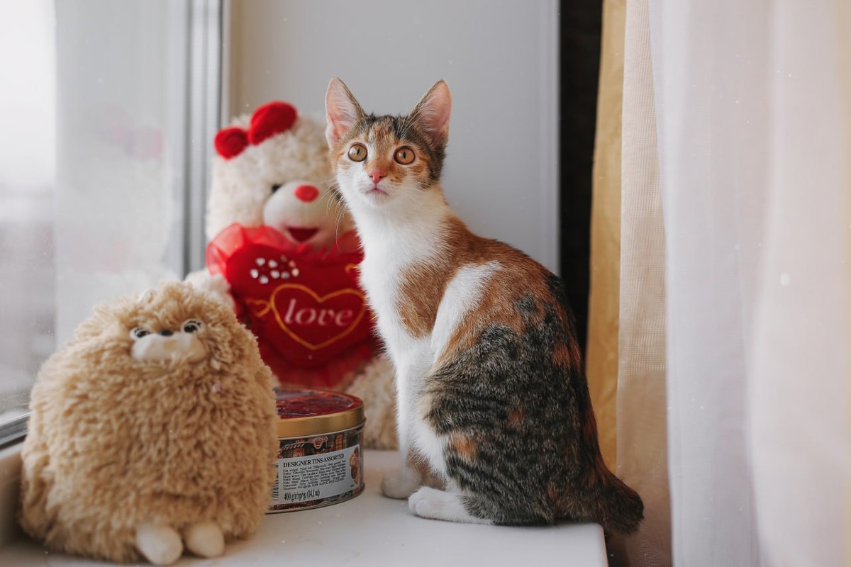 55969CB1-9136-4515-B745-F4DA55239E02