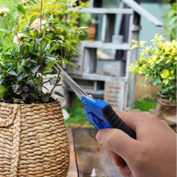 Foarfeca de Gradina - Detalii lame