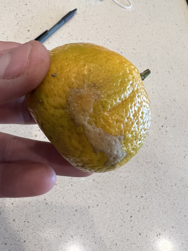 E07668BD-2C40-4B9D-A4EB-880B71A6D591