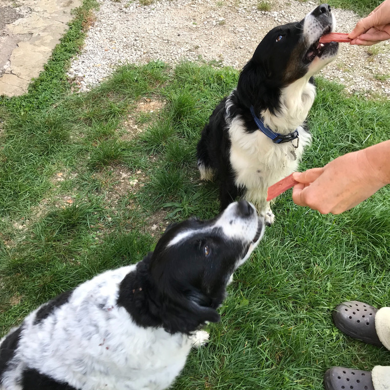 A2D50653-18B2-4E63-BE0B-1B729F319323