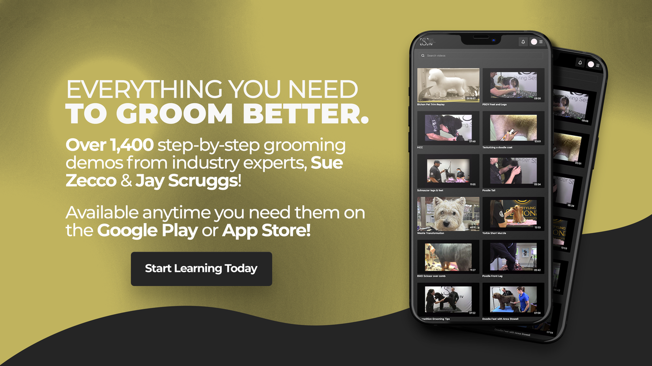 Super Styling Sessions Desktop