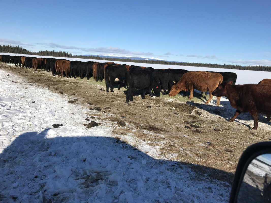 E84A9F64-1378-40D8-AF81-ACA4D2DFD1E7