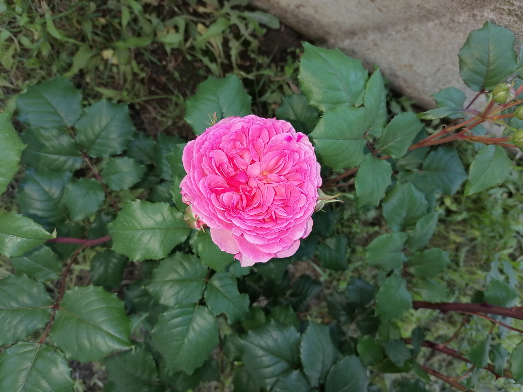 IMG_20210604_191644