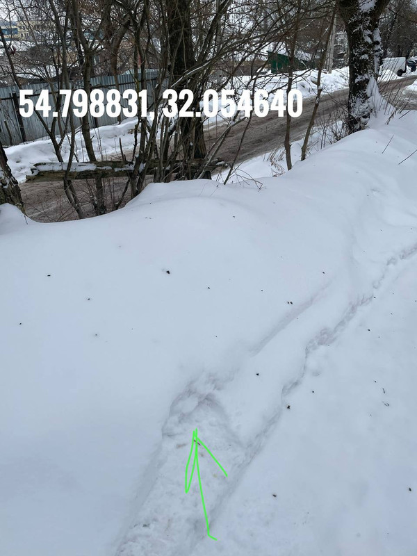 photo 2 2026 02 24 15 56 29