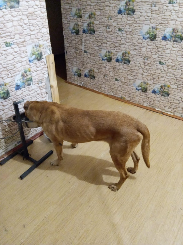 51934B6E-AB75-4444-8D3A-8541FF149848