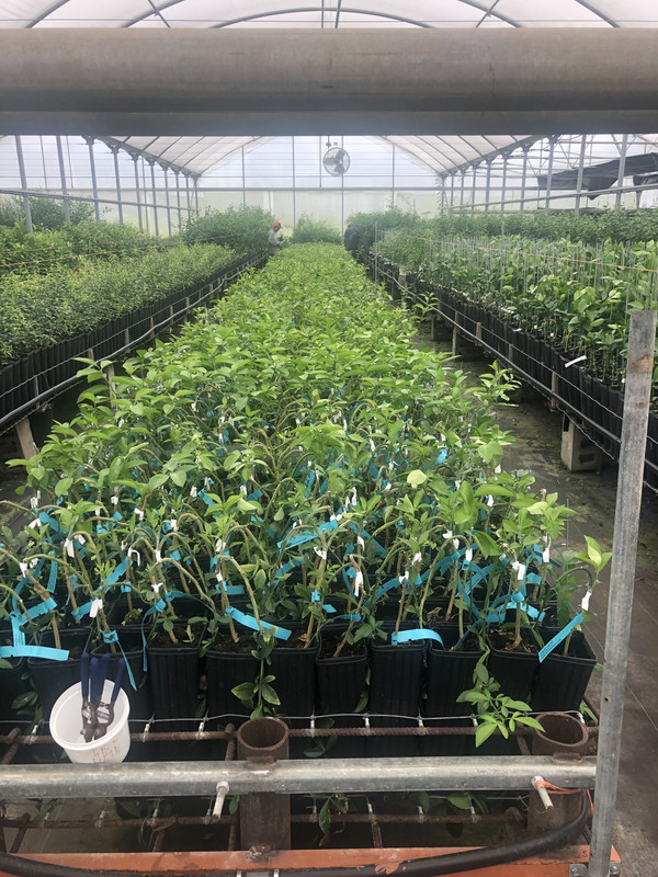 FDDA4A0F-E814-437B-8843-BB69E9B9A555