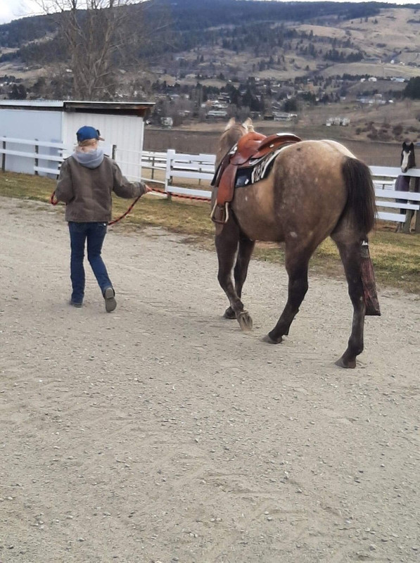 1F5CA673-7C97-4941-B670-FEDB90EC2599